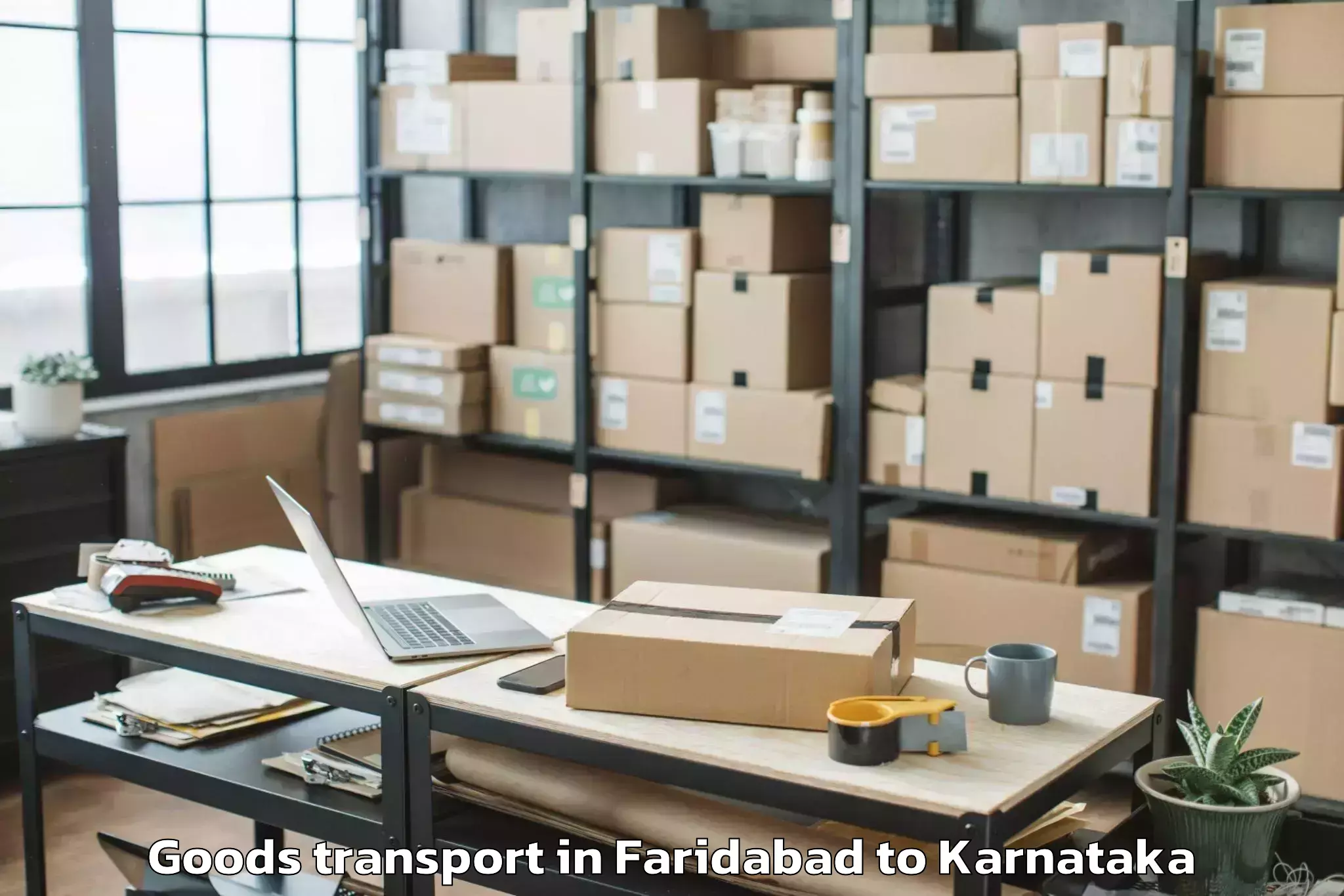 Professional Faridabad to Sravana Belgola Goods Transport